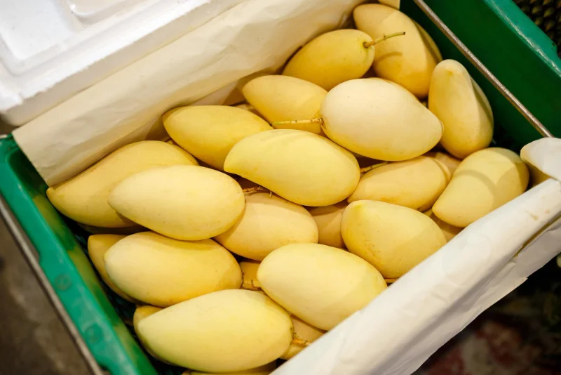 มะม่วงน้ำดอกไม้